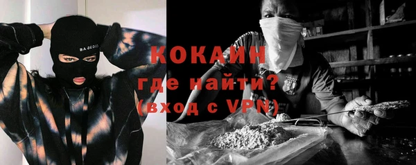 кокс Ельня