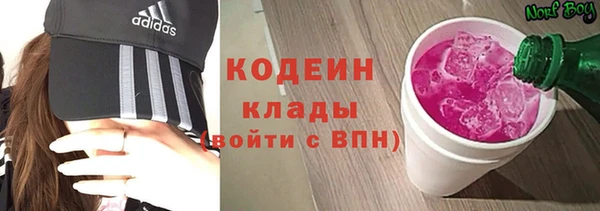 кокс Ельня