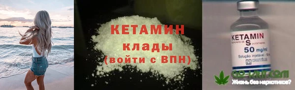 кокс Ельня