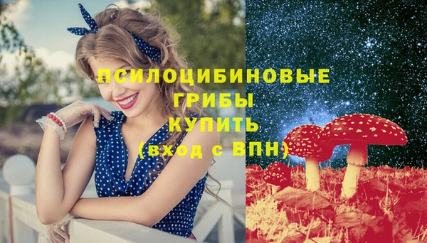 кокс Ельня