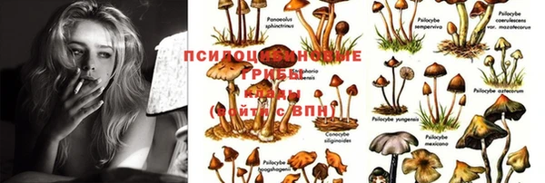 бутират Елизово