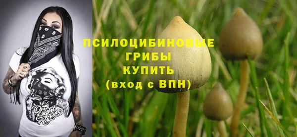 бутират Елизово