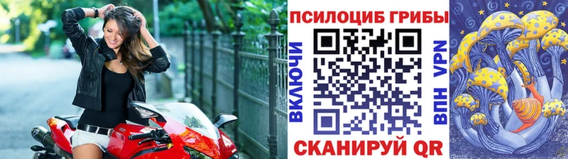 где найти мега онион Галлюциногенные грибы ЛСД Протвино