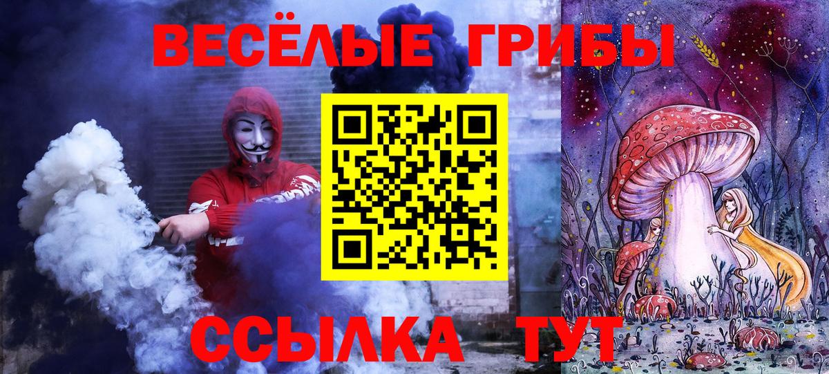 Псилоцибиновые грибы Cubensis  Вход с VPN  Протвино 