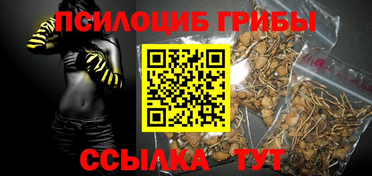 Псилоцибиновые грибы мицелий Протвино
